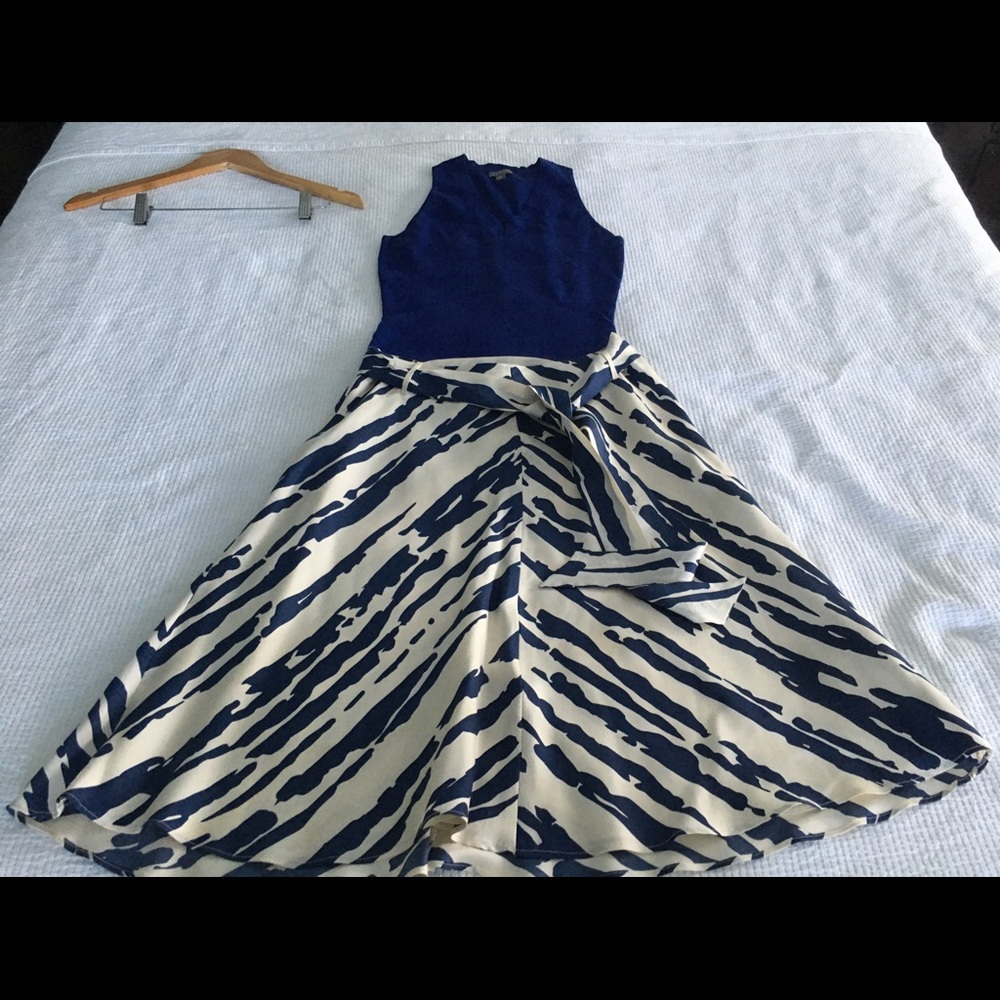 Ann Taylor silk skirt